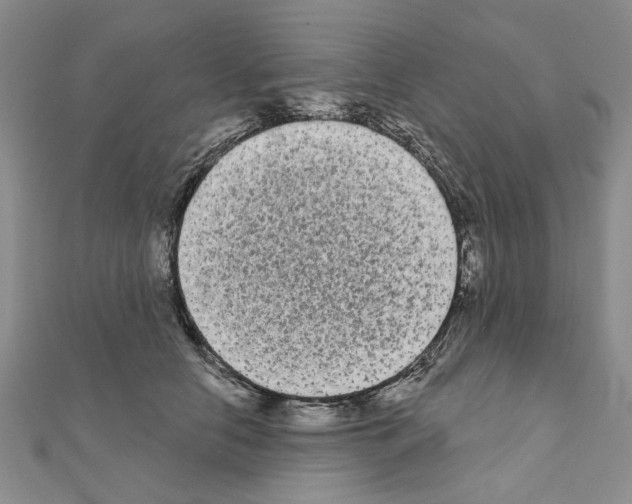 X0000111050658200908061519