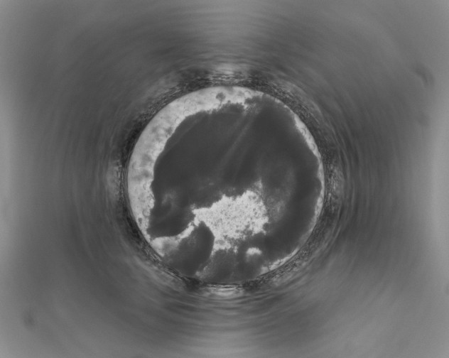 X0000111050659200908061519