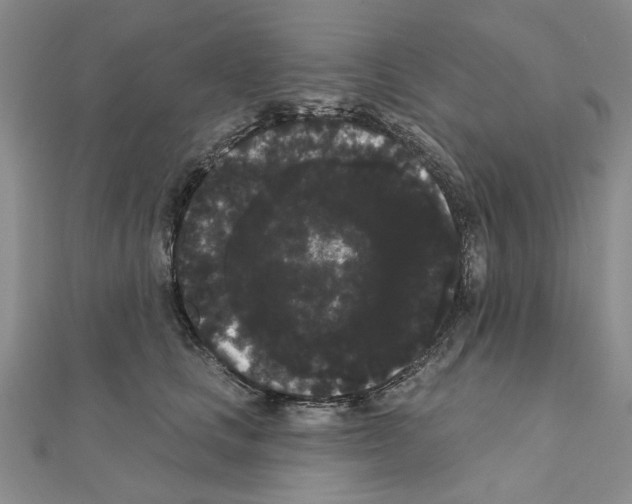 X0000111050661200908061519