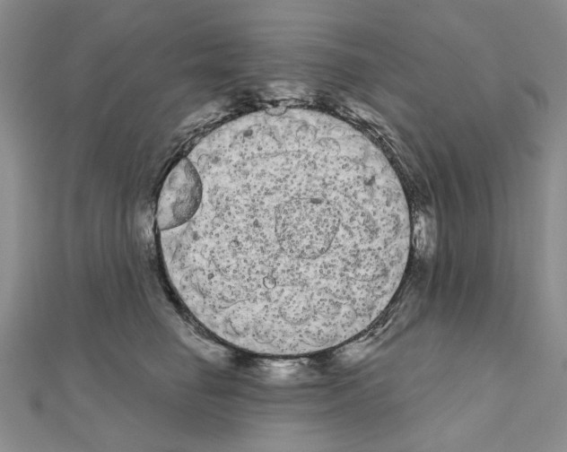 X0000111050662200908061519