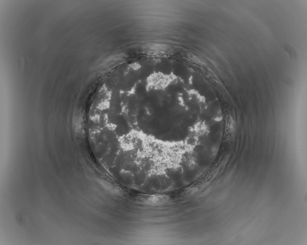 X0000111050663200908061519