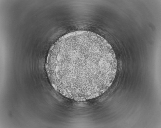 X0000111050664200908061519