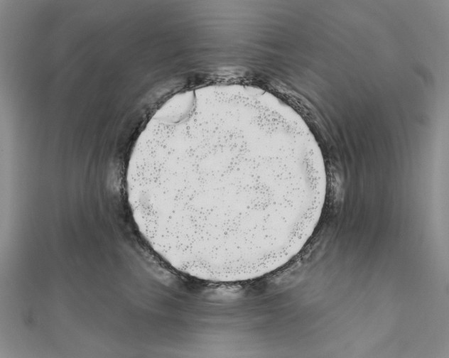 X0000111050665200908061519