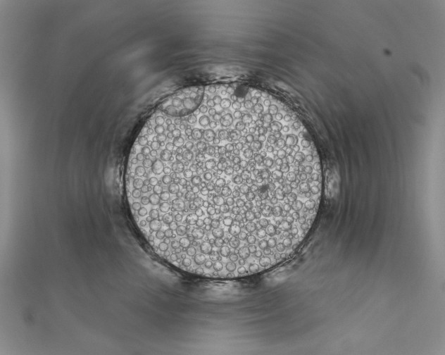 X0000111050666200908061519