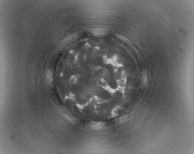 X0000111050667200908061519