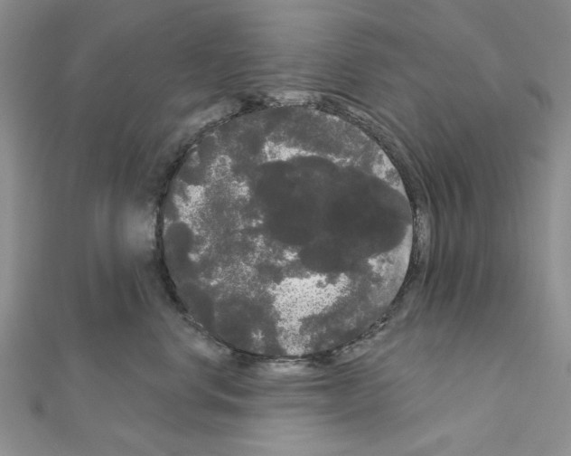 X0000111050668200908061519