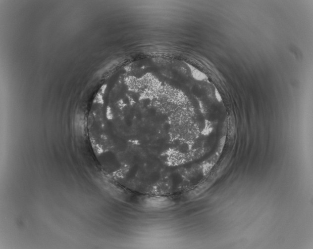 X0000111050669200908061519