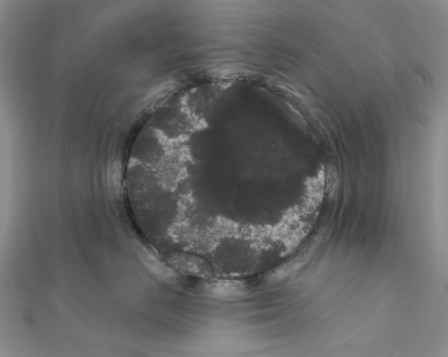 X0000111050670200908061519