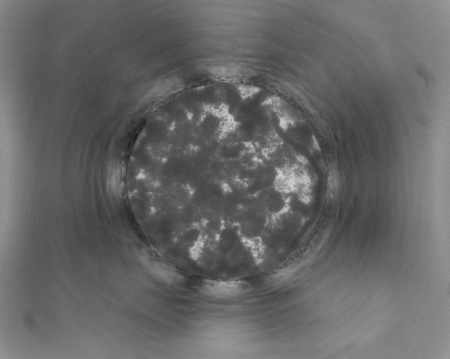 X0000111050671200908061519