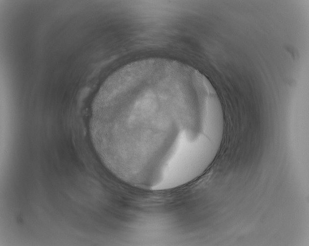 X0000111050672200908061519