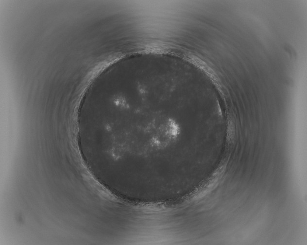 X0000111050673200908061518