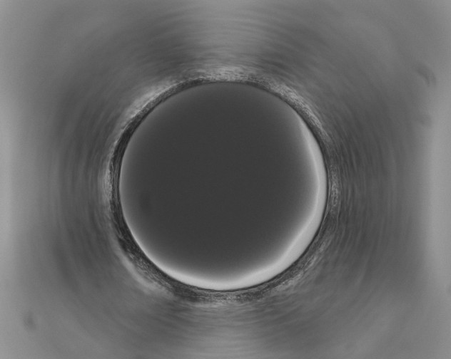 X0000111050674200908061518