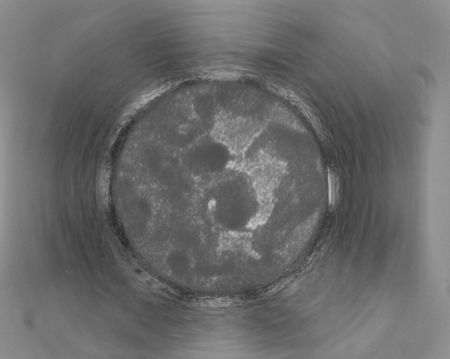 X0000111050675200908061518