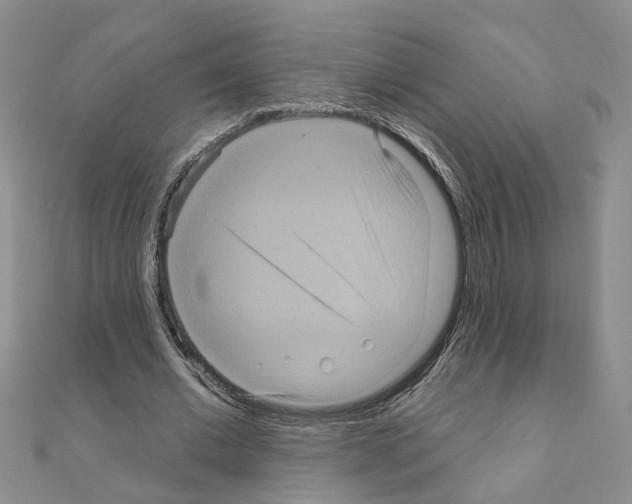 X0000111050677200908061518