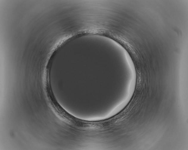 X0000111050678200908061518