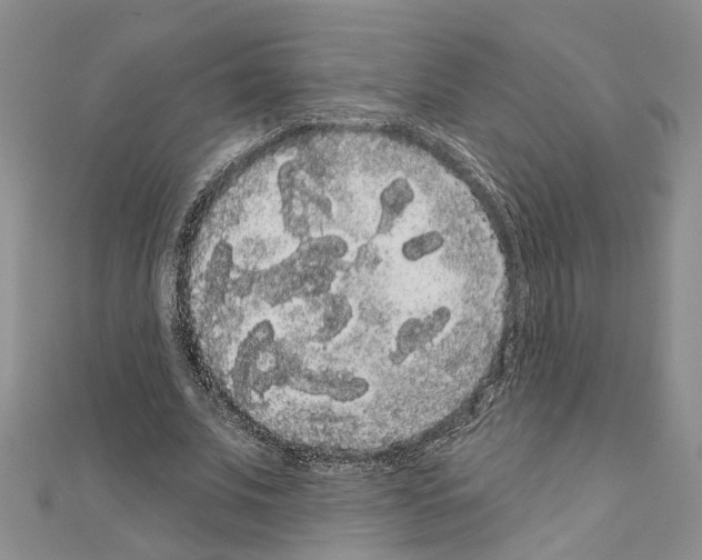 X0000111050679200908061518