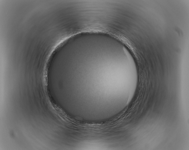 X0000111050680200908061518