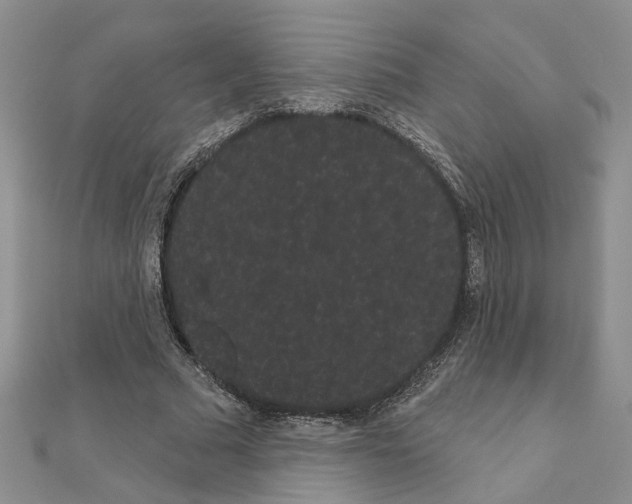 X0000111050681200908061518