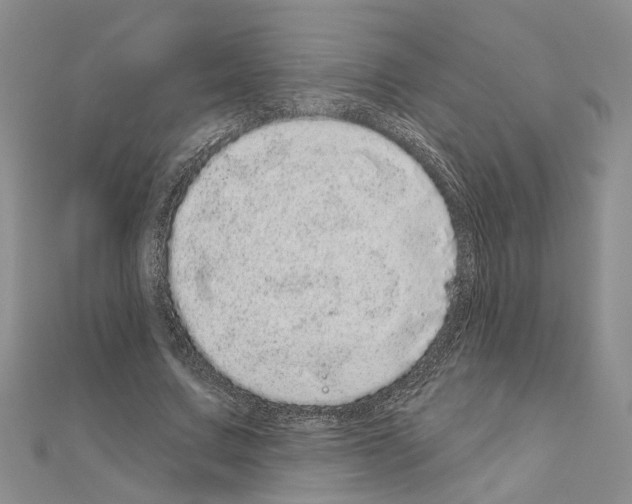 X0000111050683200908061518