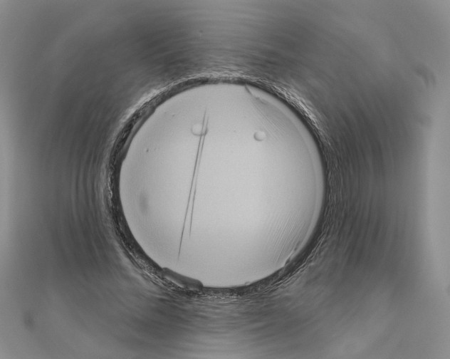 X0000111050684200908061518