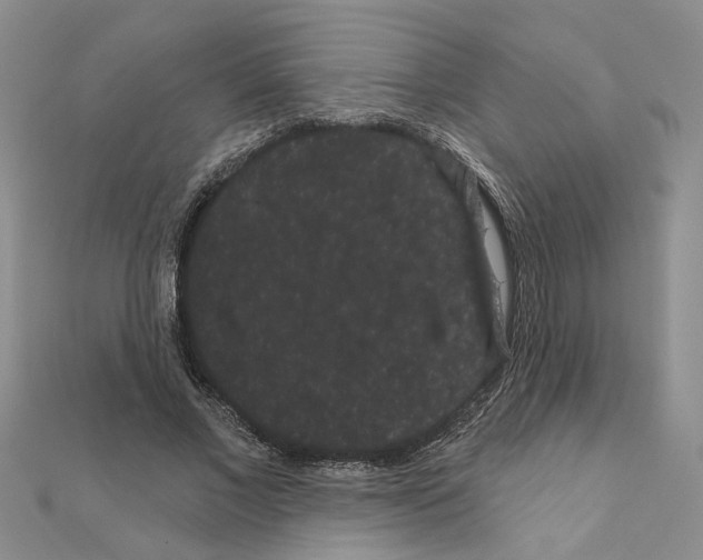 X0000111050685200908061518