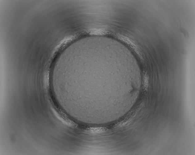 X0000111050686200908061518