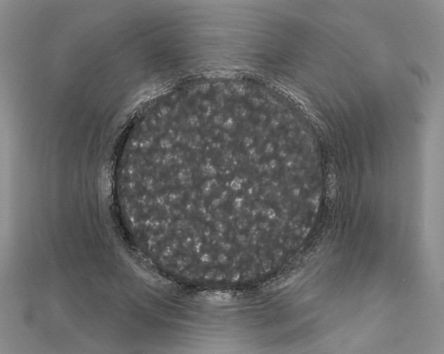 X0000111050687200908061518