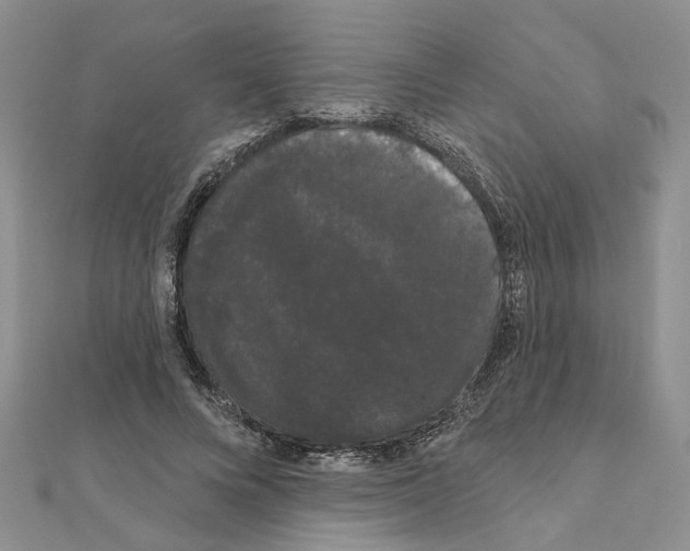 X0000111050688200908061518