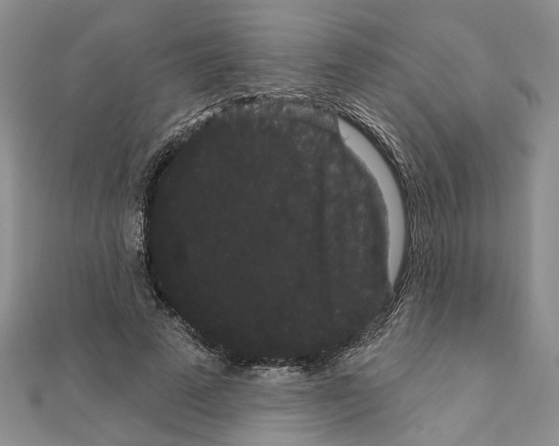 X0000111050689200908061518