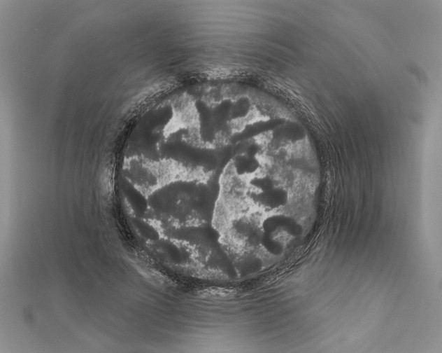 X0000111050691200908061518