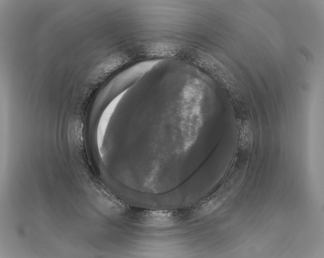 X0000111050692200908061518