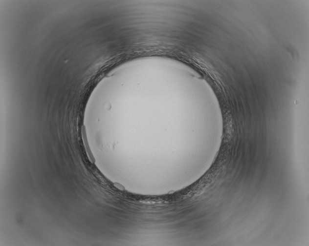 X0000111050693200908061518