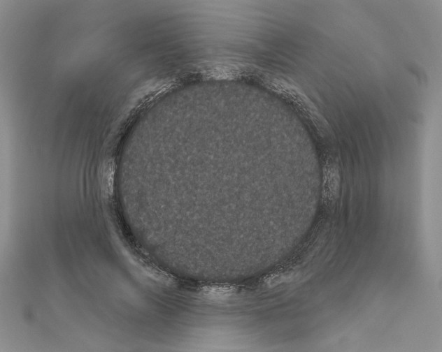 X0000111050694200908061518