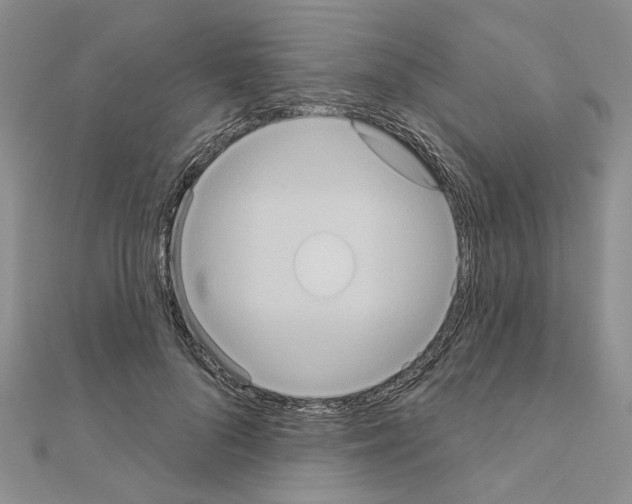 X0000111050696200908061518