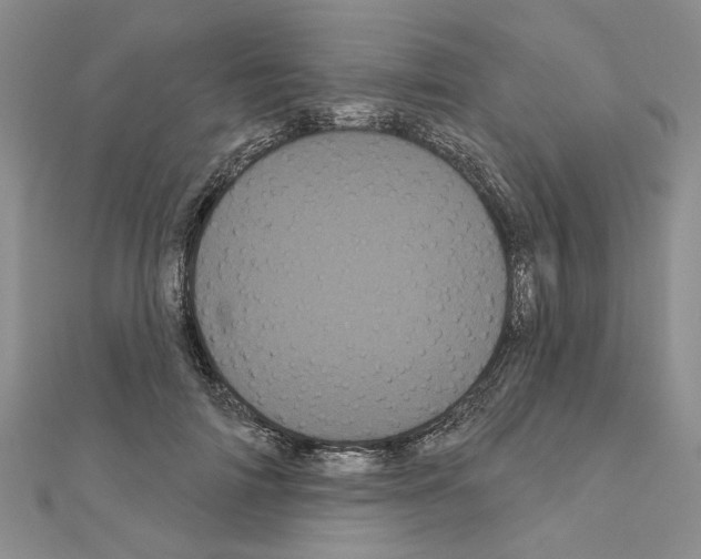 X0000111050698200908061518