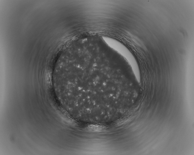 X0000111050699200908061518