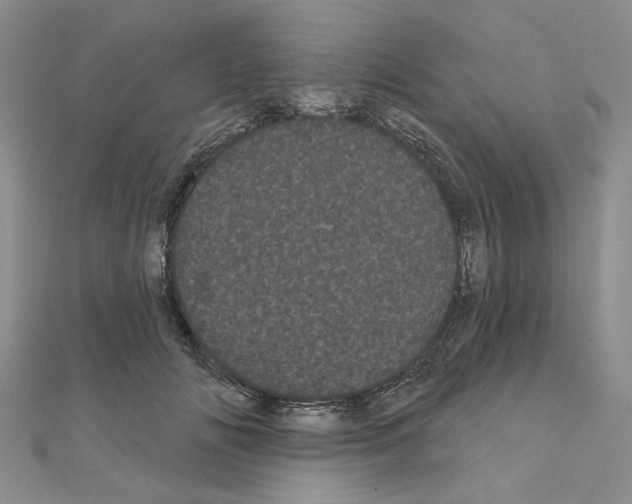 X0000111050702200908061518