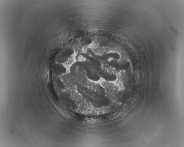 X0000111050703200908061518