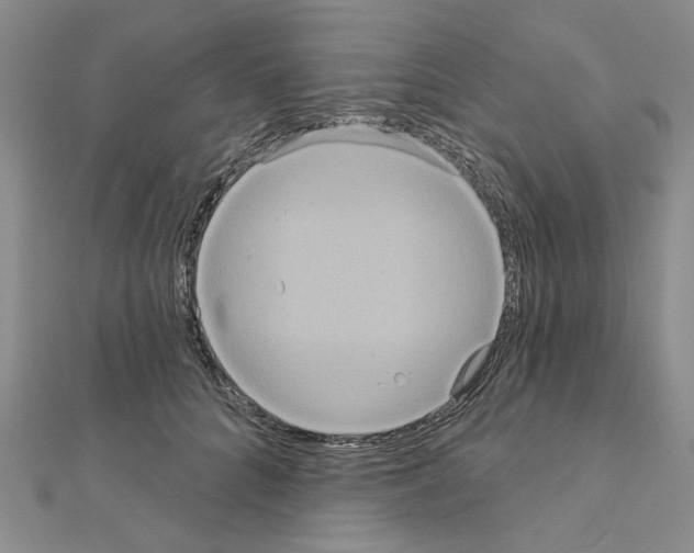 X0000111050704200908061518