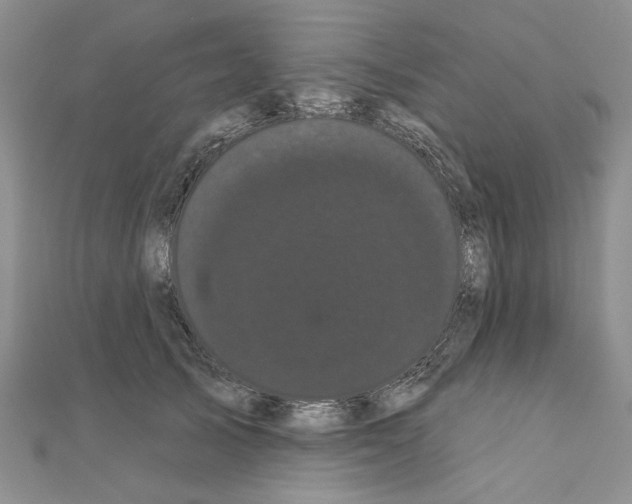 X0000111050705200908061518