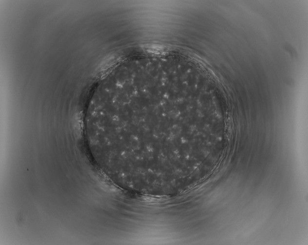 X0000111050707200908061517