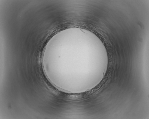 X0000111050708200908061517