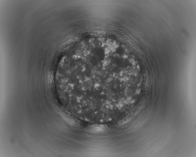 X0000111050711200908061517