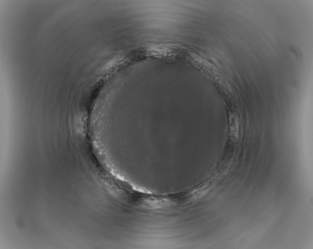 X0000111050712200908061517