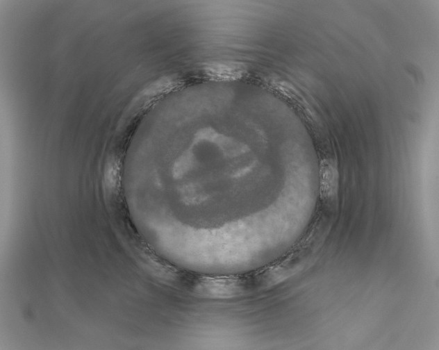 X0000111050713200908061517