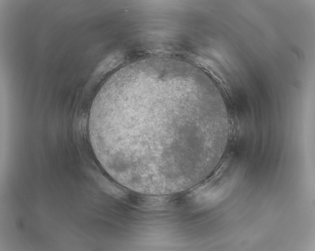 X0000111050717200908061517