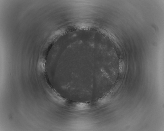 X0000111050718200908061517