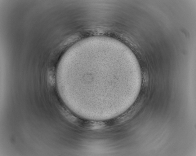 X0000111050719200908061517