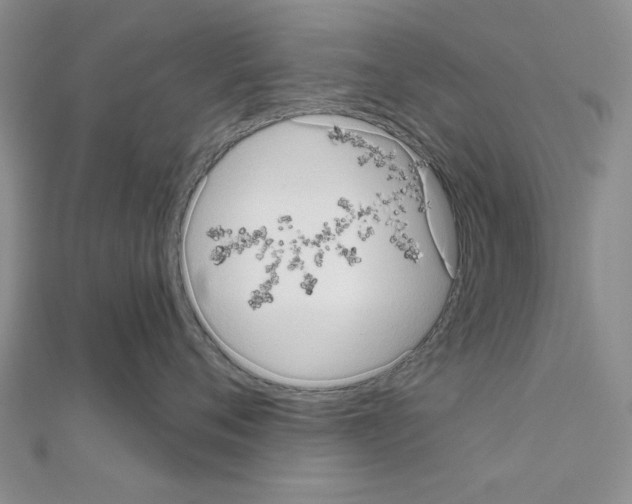 X0000111050720200908061517