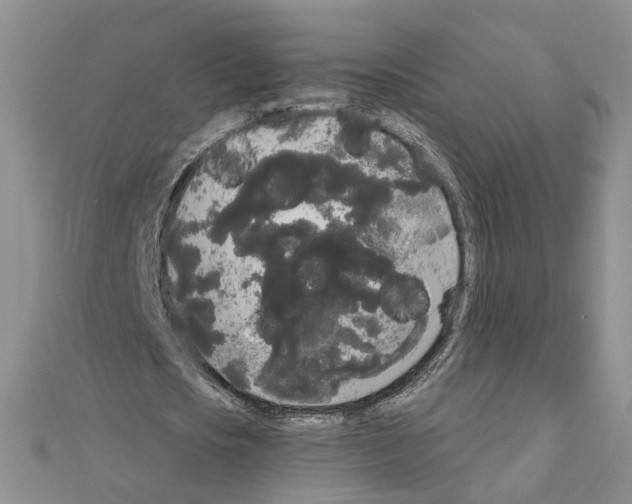 X0000111050721200908061517